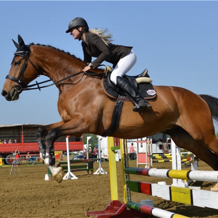 1751670-equitation-36-euros-pour-une-licence-adulte.jpg