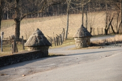 IMG_8354.JPG