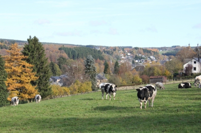 rue du chenet 2.jpg