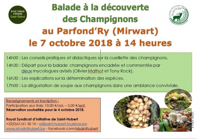 7 octobre.Balade champignons.JPG