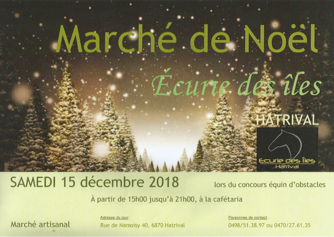 marche de noel.png