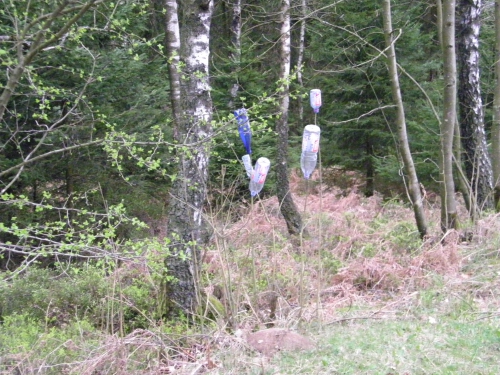 107_4812.JPG