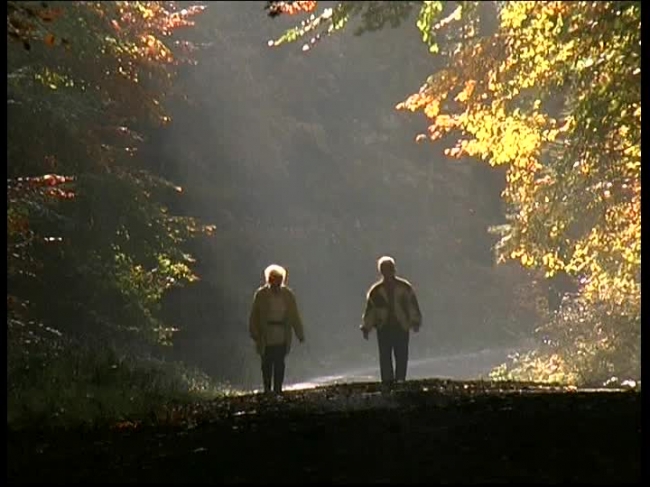 478363925-promenade-foret-de-feuillus-spessart-automne.jpg