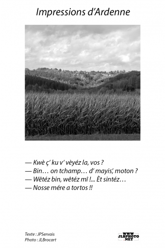 Impression 220.jpg