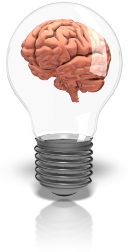 brain_in_lightbulb_800_9184.jpg