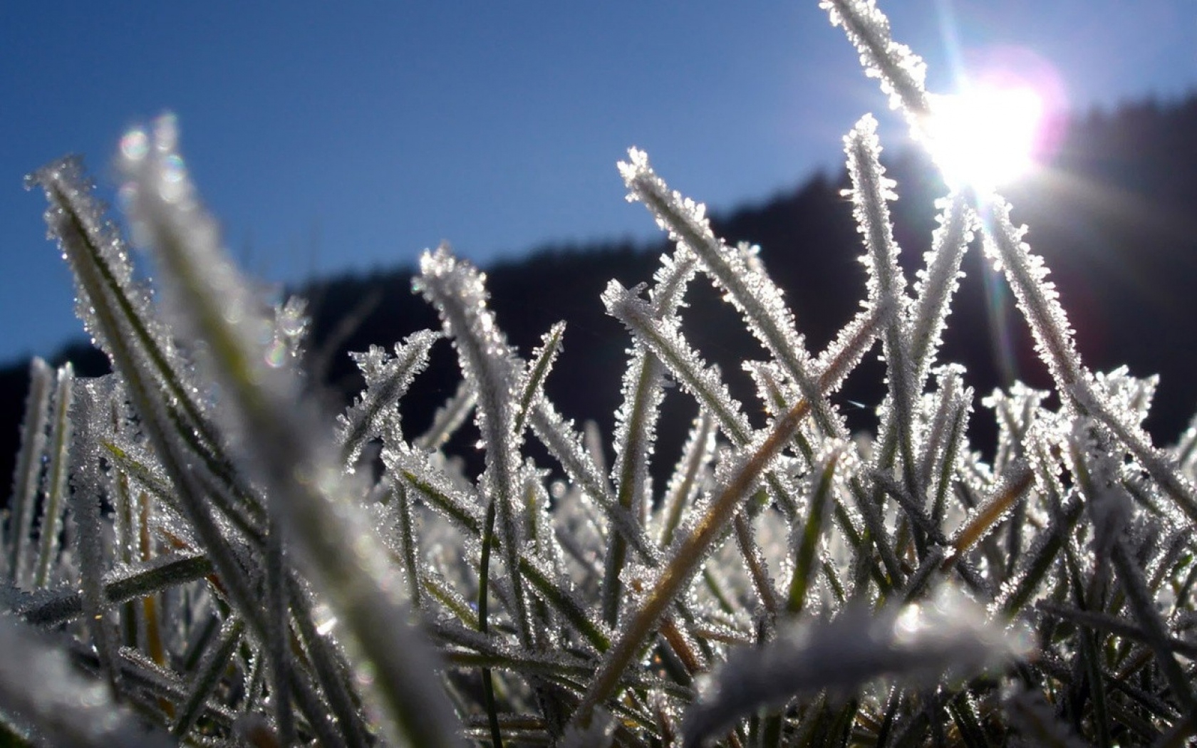 grass-hoarfrost-frost-sun-light-beams-1680x1050.jpg